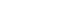 logo dr. iron